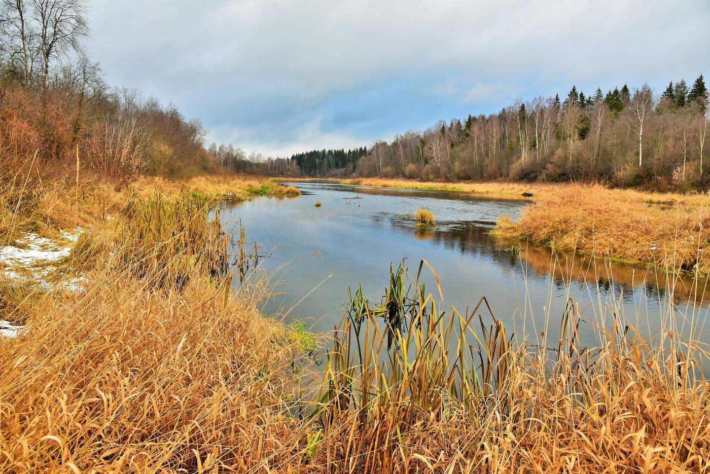 "Славная осень! Воздух усталые силы бодрит ..."