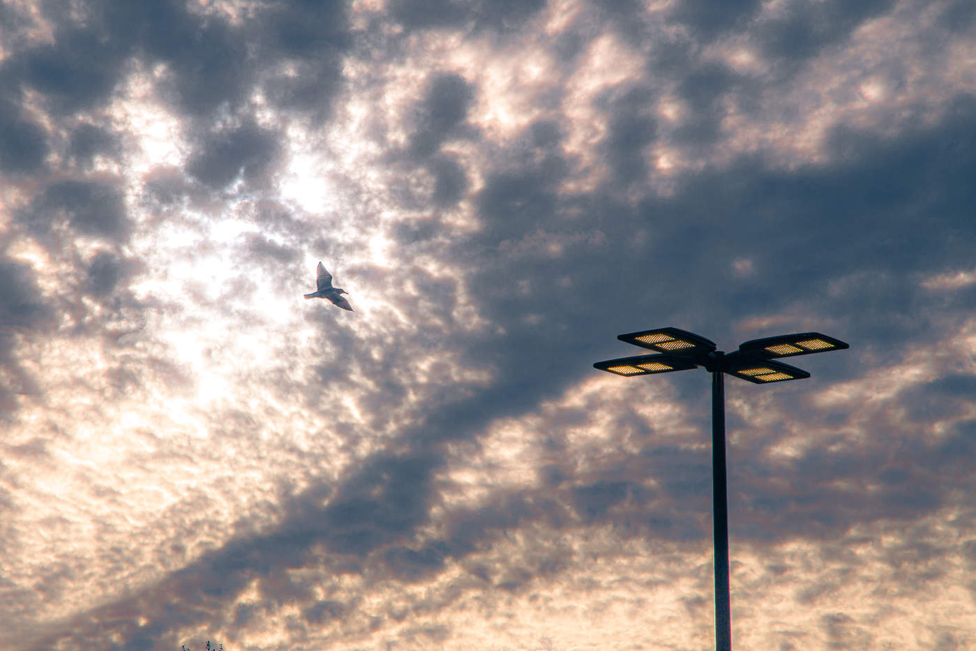 Дивлюсь я на небо....