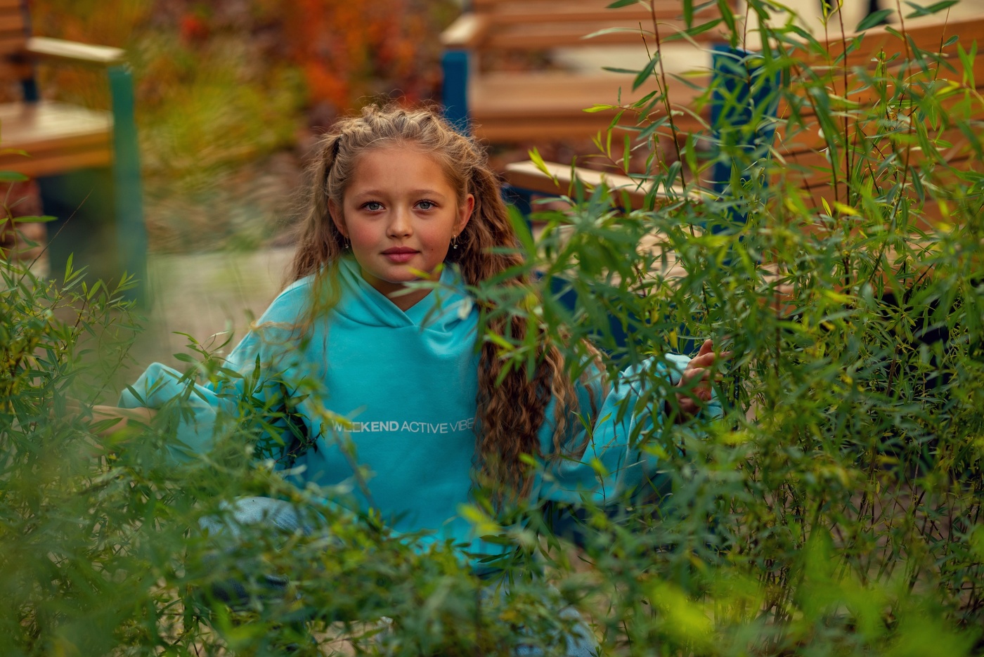 Сине-зелёная осень