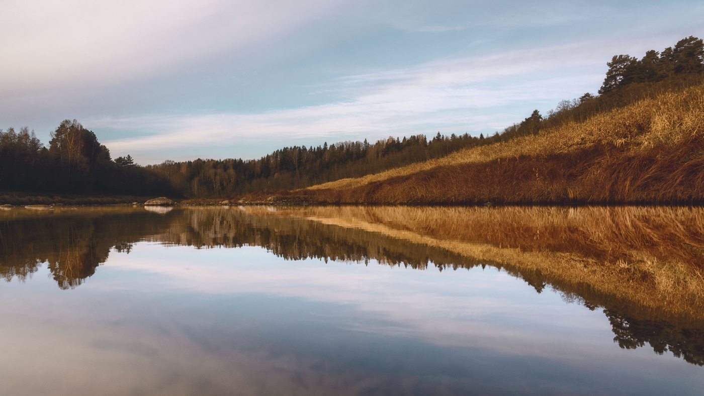 Жизнь вокруг