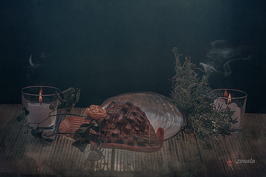 ракушка с перламутром