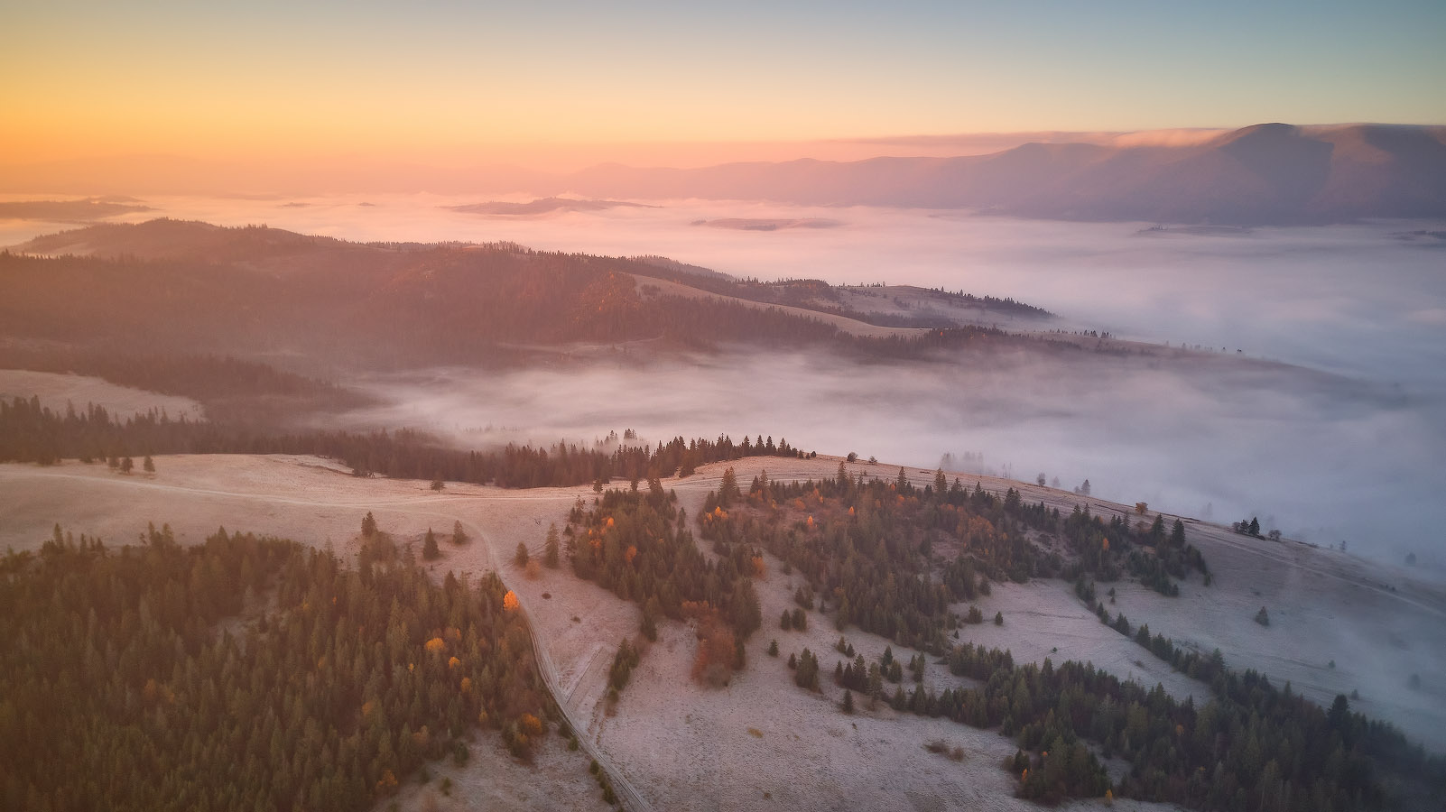Занимался ноябрьский рассвет