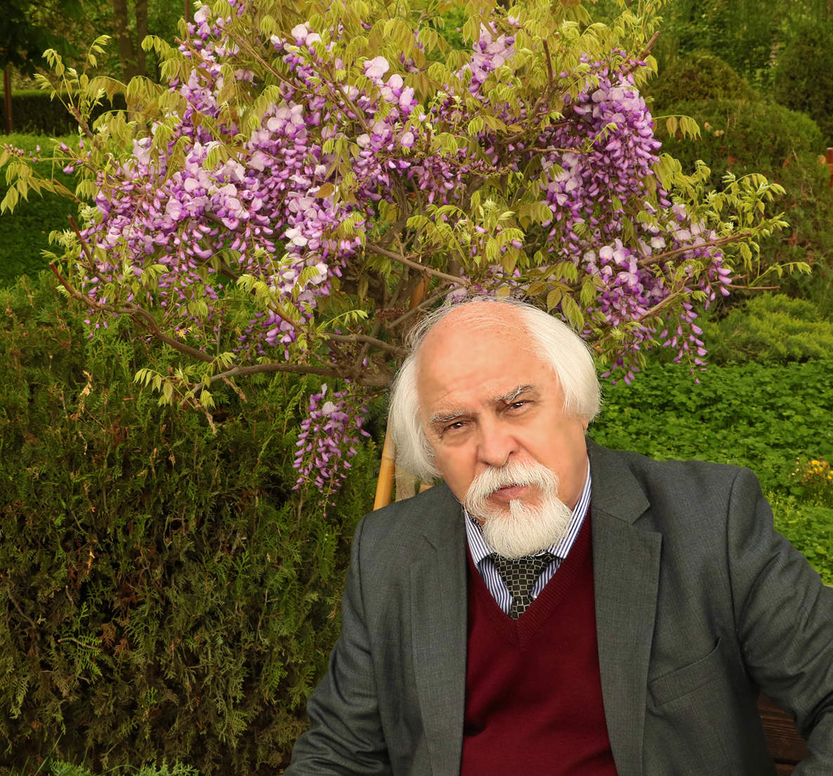 Под глицинией