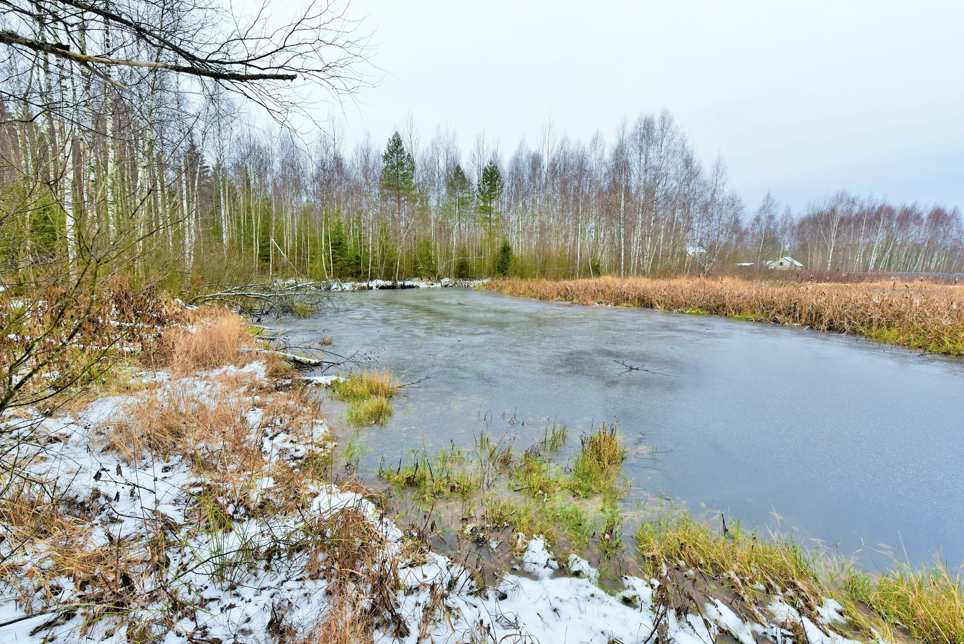 "Поет ноябрь колыбельную природе ..."