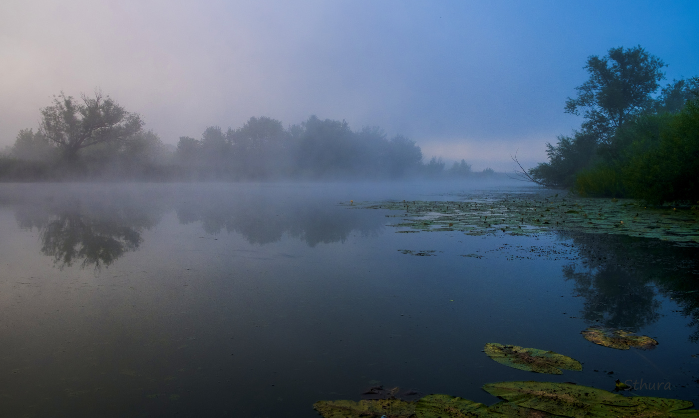 Пасмурное утро.