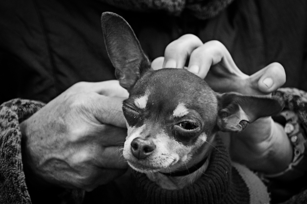 Жизнь удалась