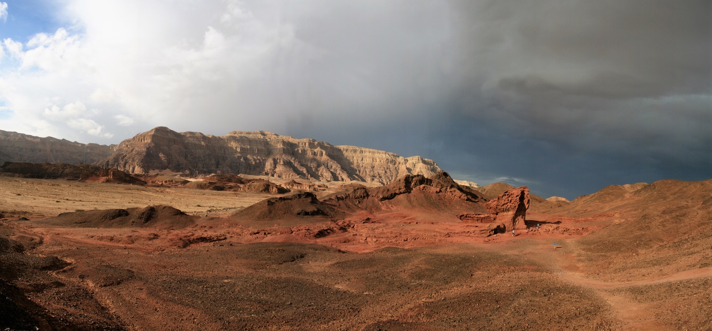 Внуки на марсе