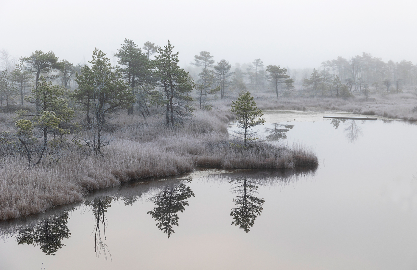 Серебрянное утро