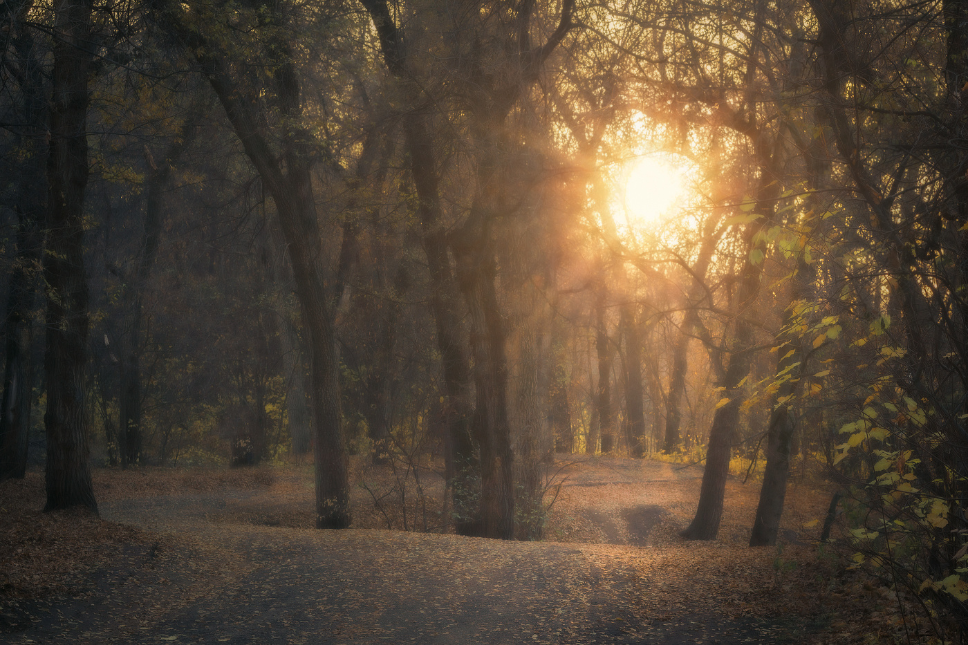 Поздняя осень...