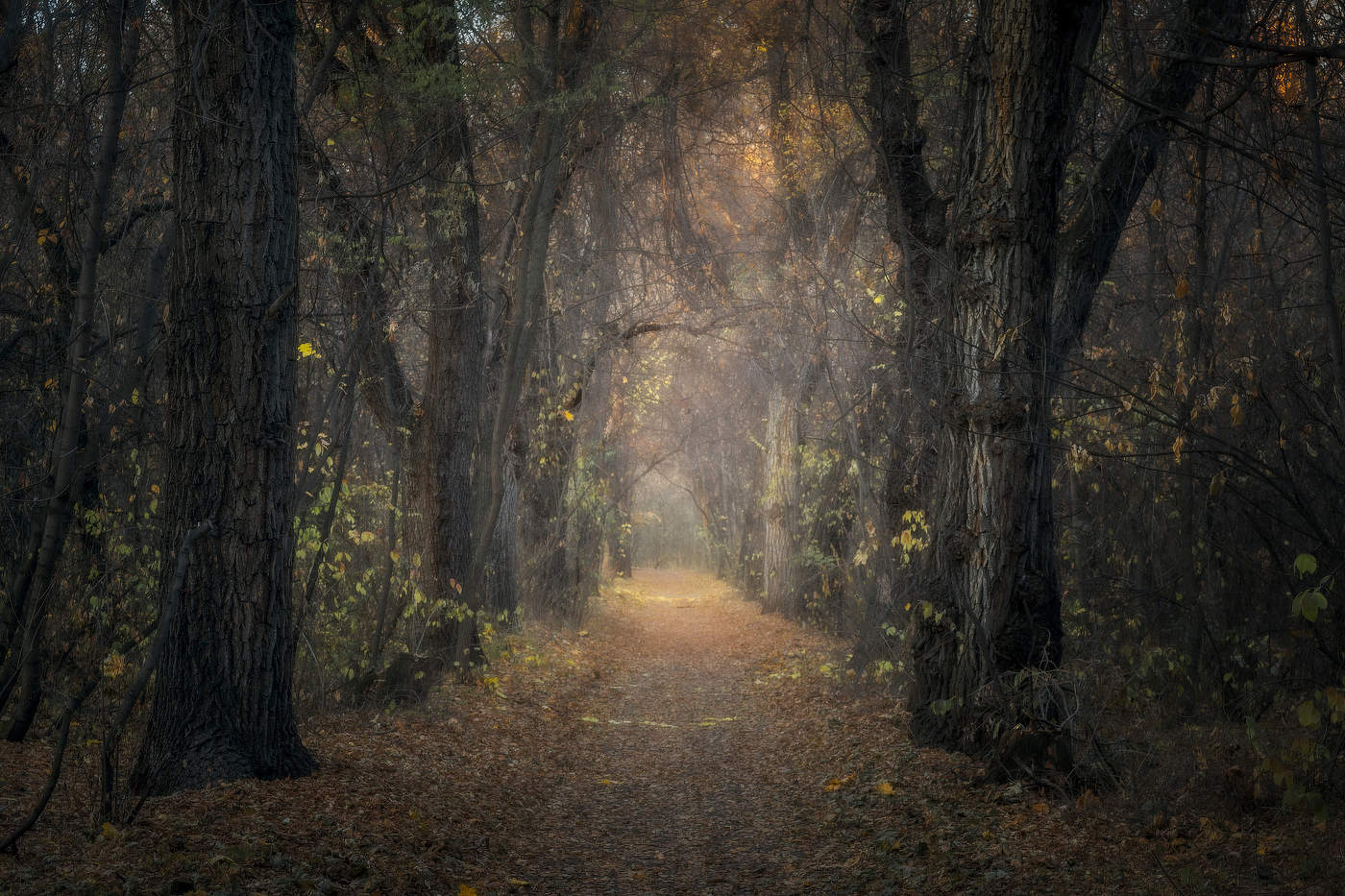 Поздняя осень. 2