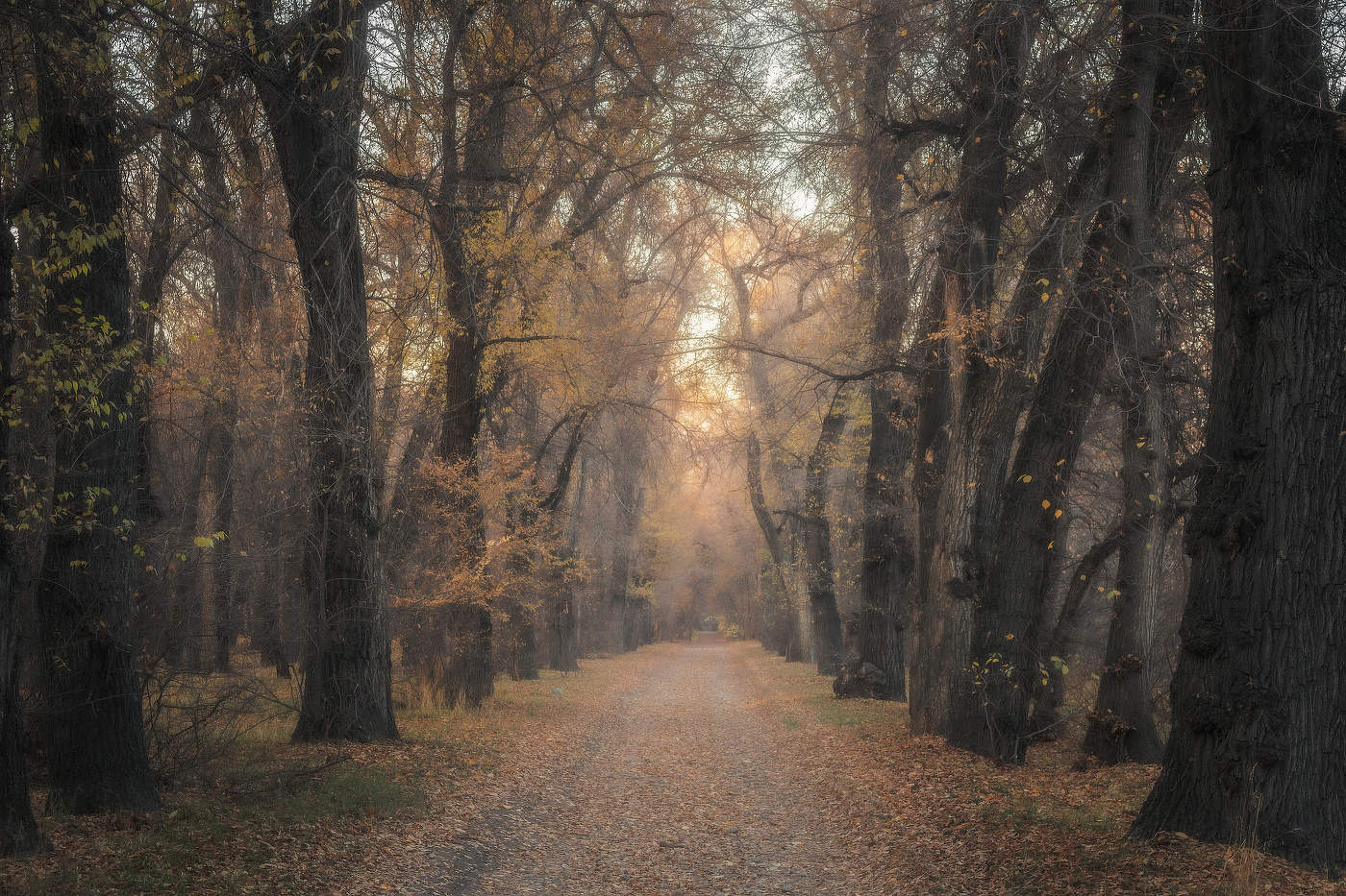 Поздняя осень. 3