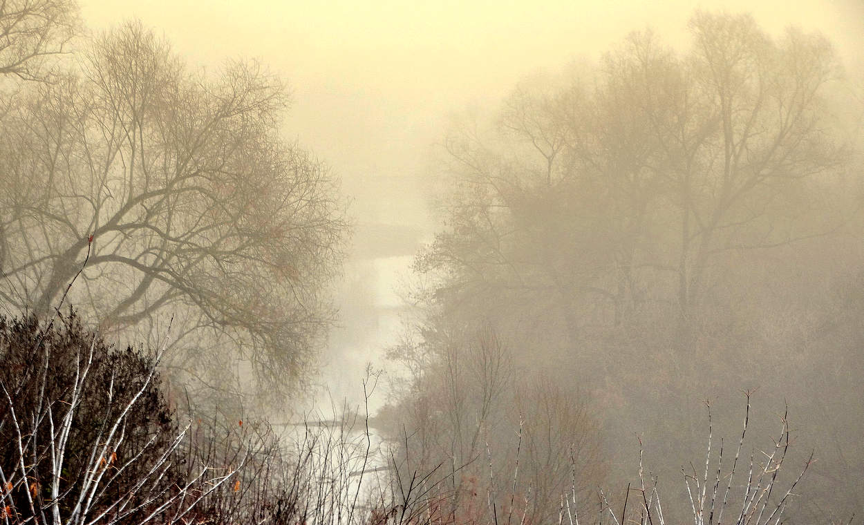 Сплошной осенний туман