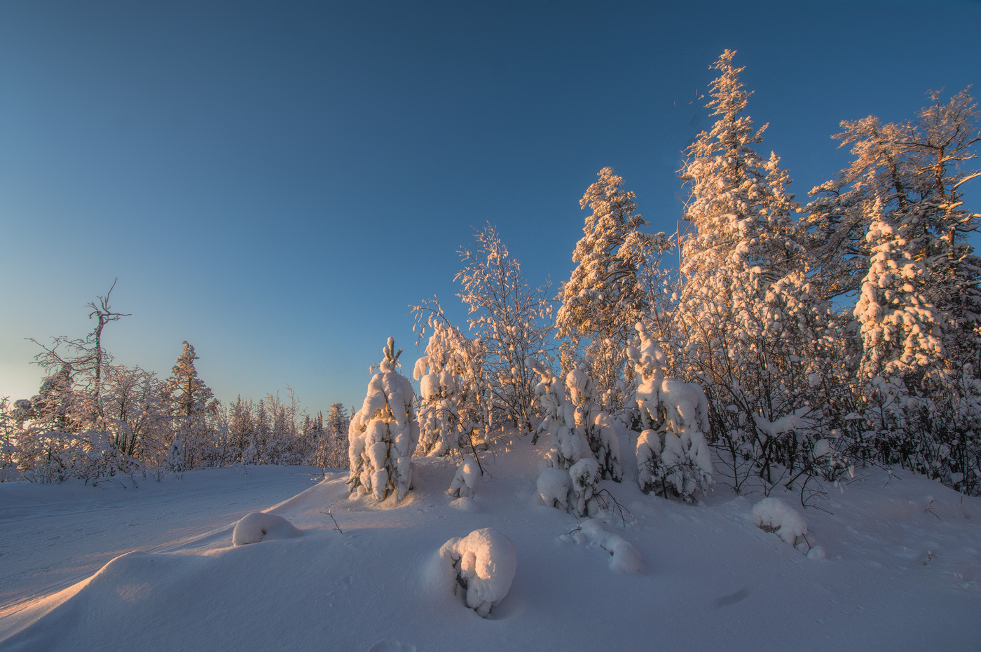 Зимнее утро