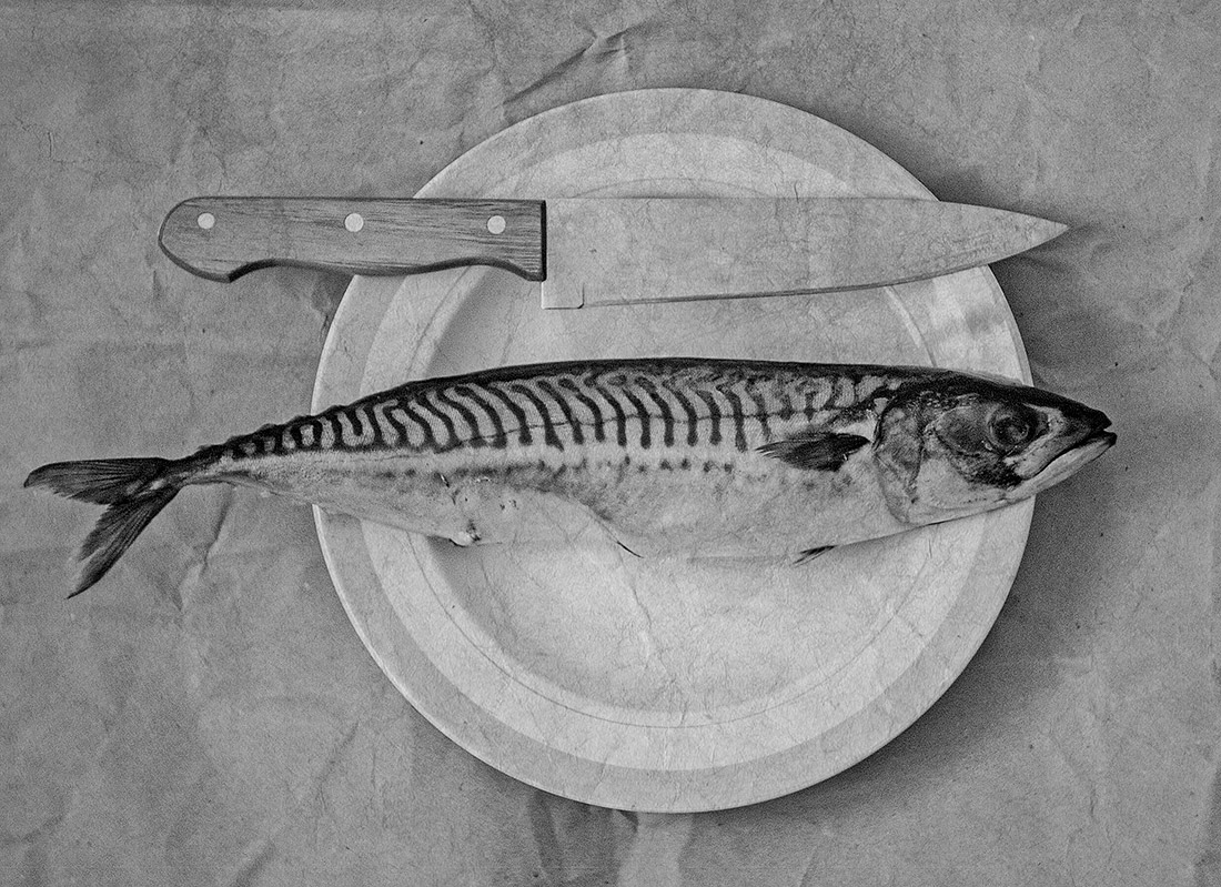 Рыбный день