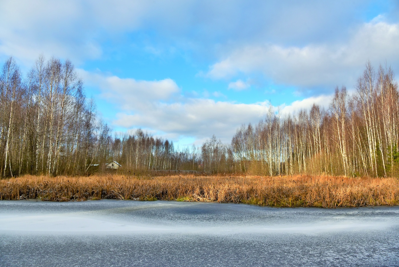 Поздняя осень ...