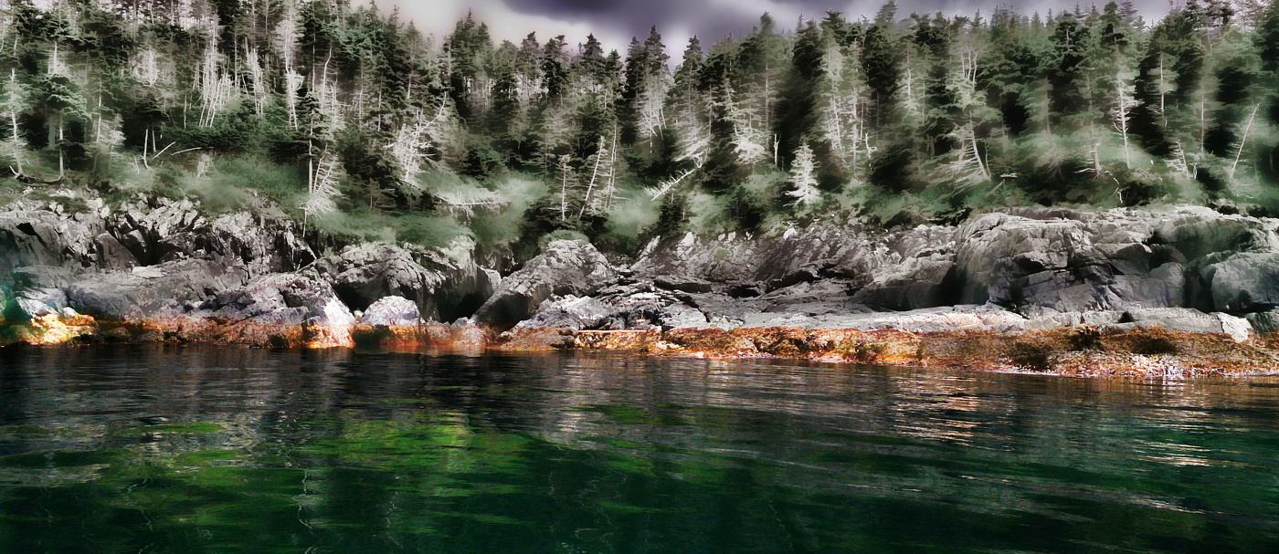 дикий берег