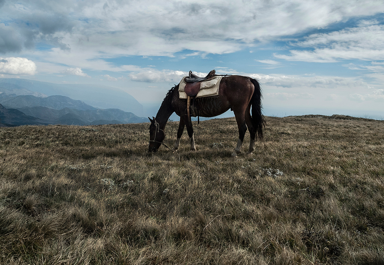 Гармония природы