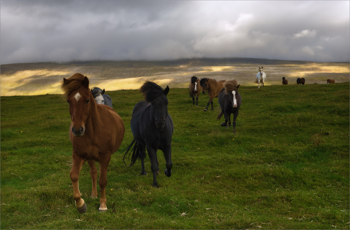 Рожденные на свободе (4)