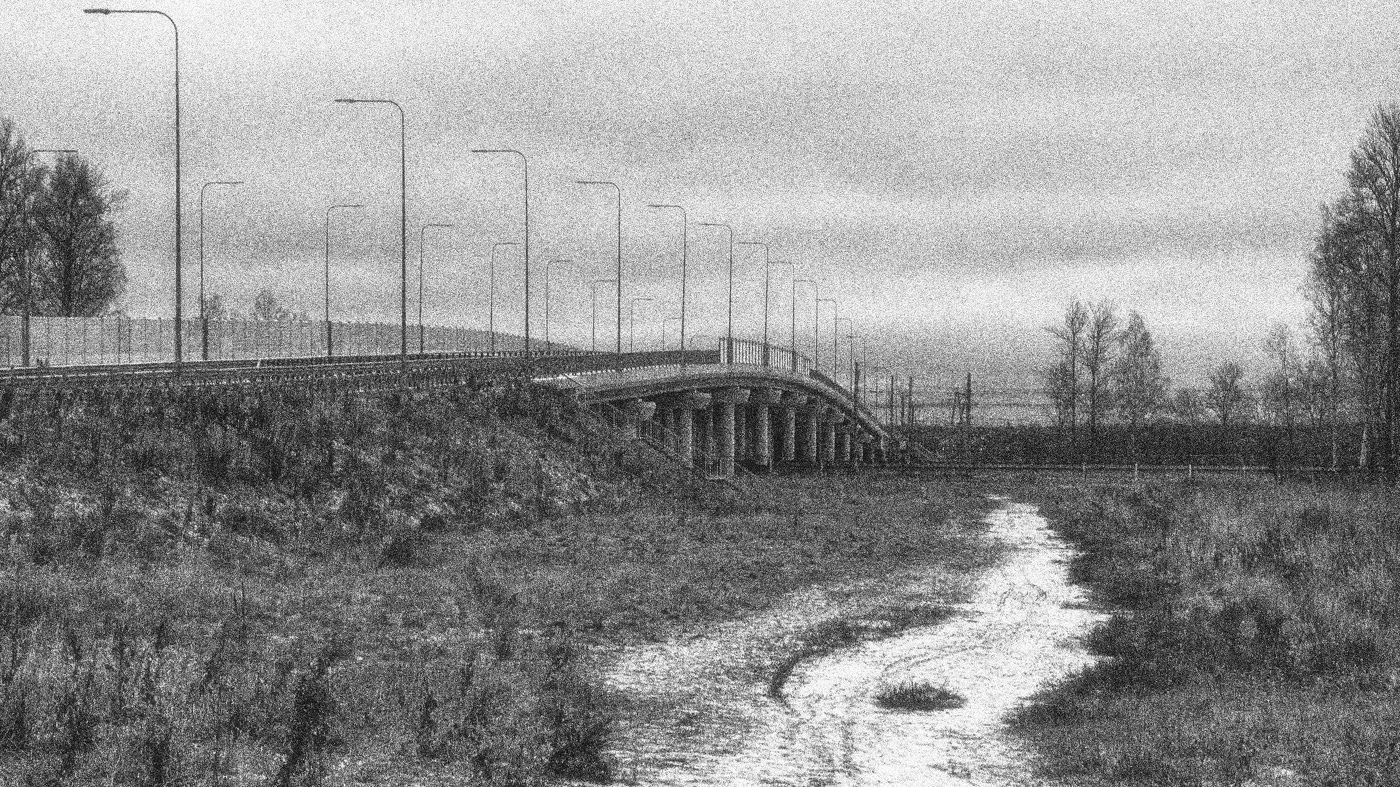 Жизнь вокруг