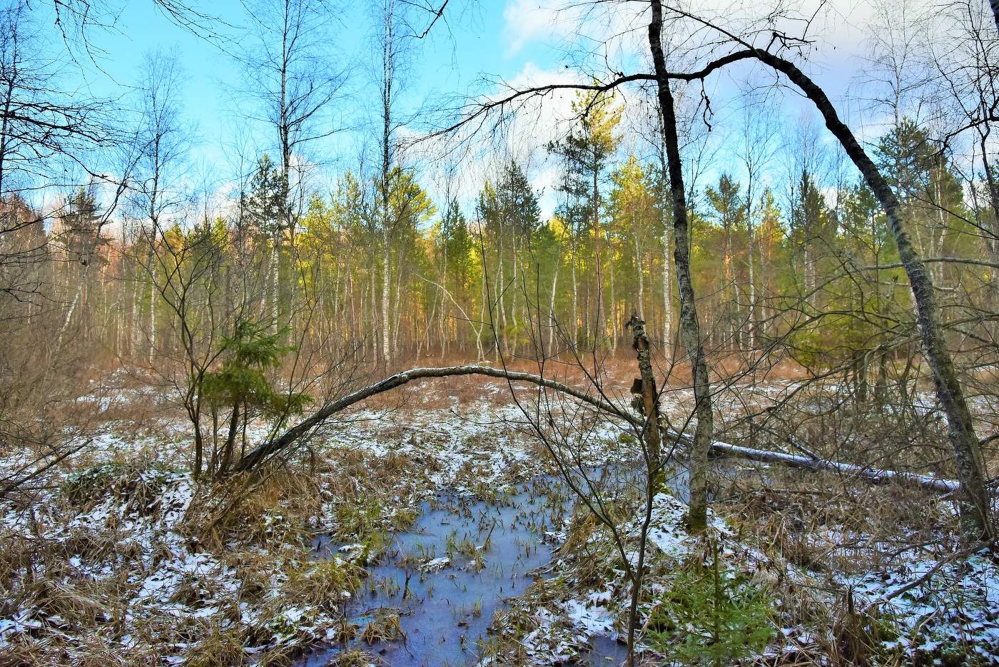 "Осень грустно смотрит девой обнаженной ..."