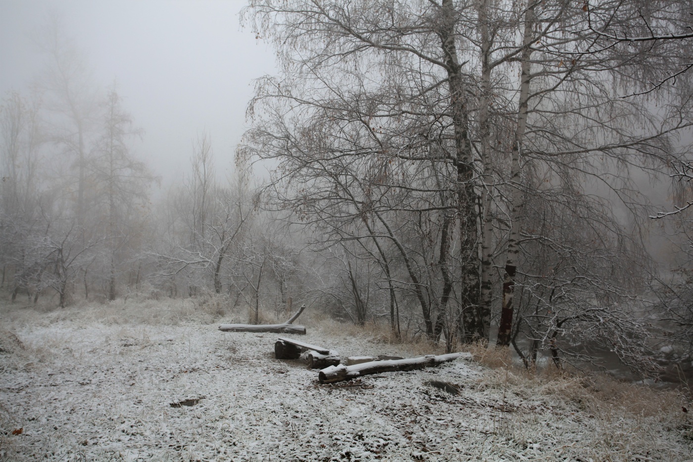 Первая репетиция