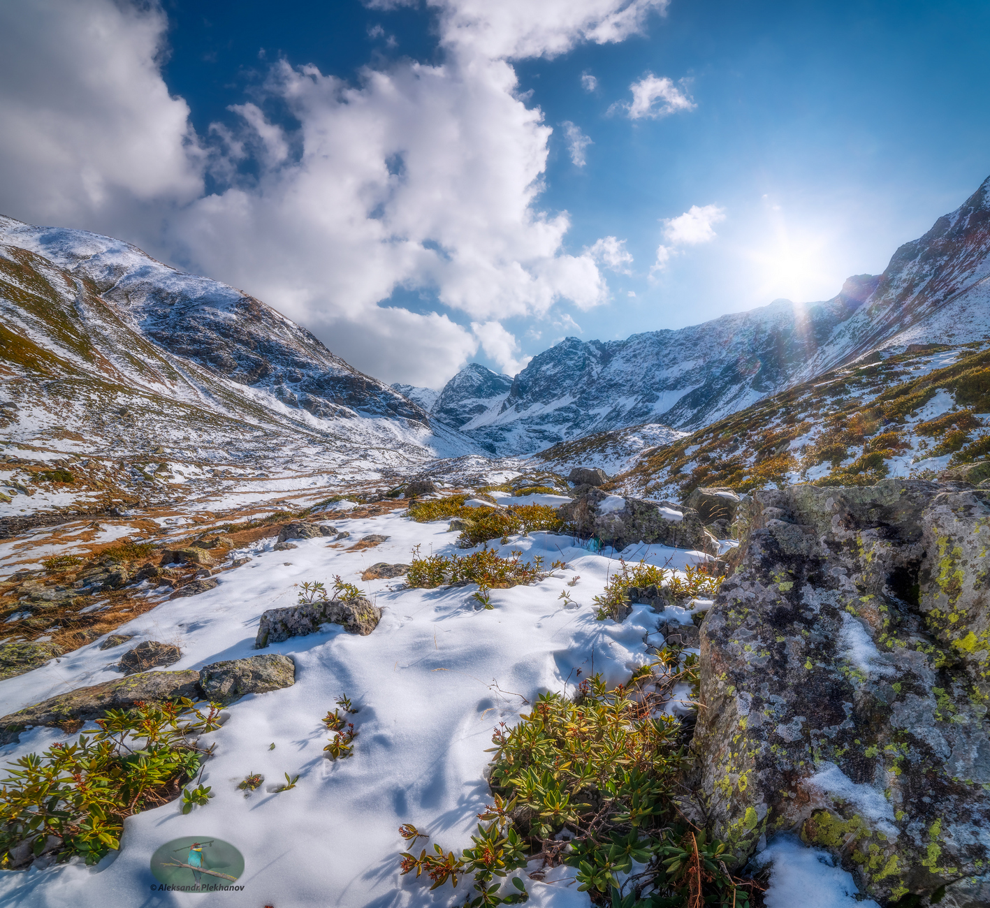 Первый снег