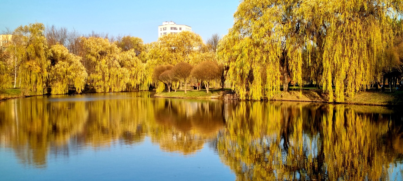 Золотые водопады осени...