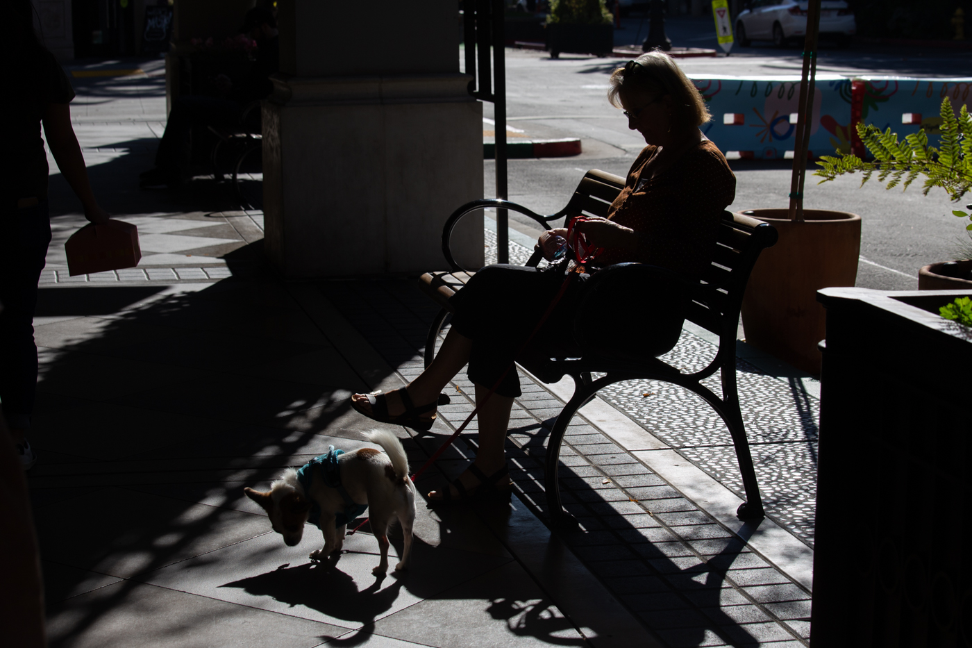 Против света