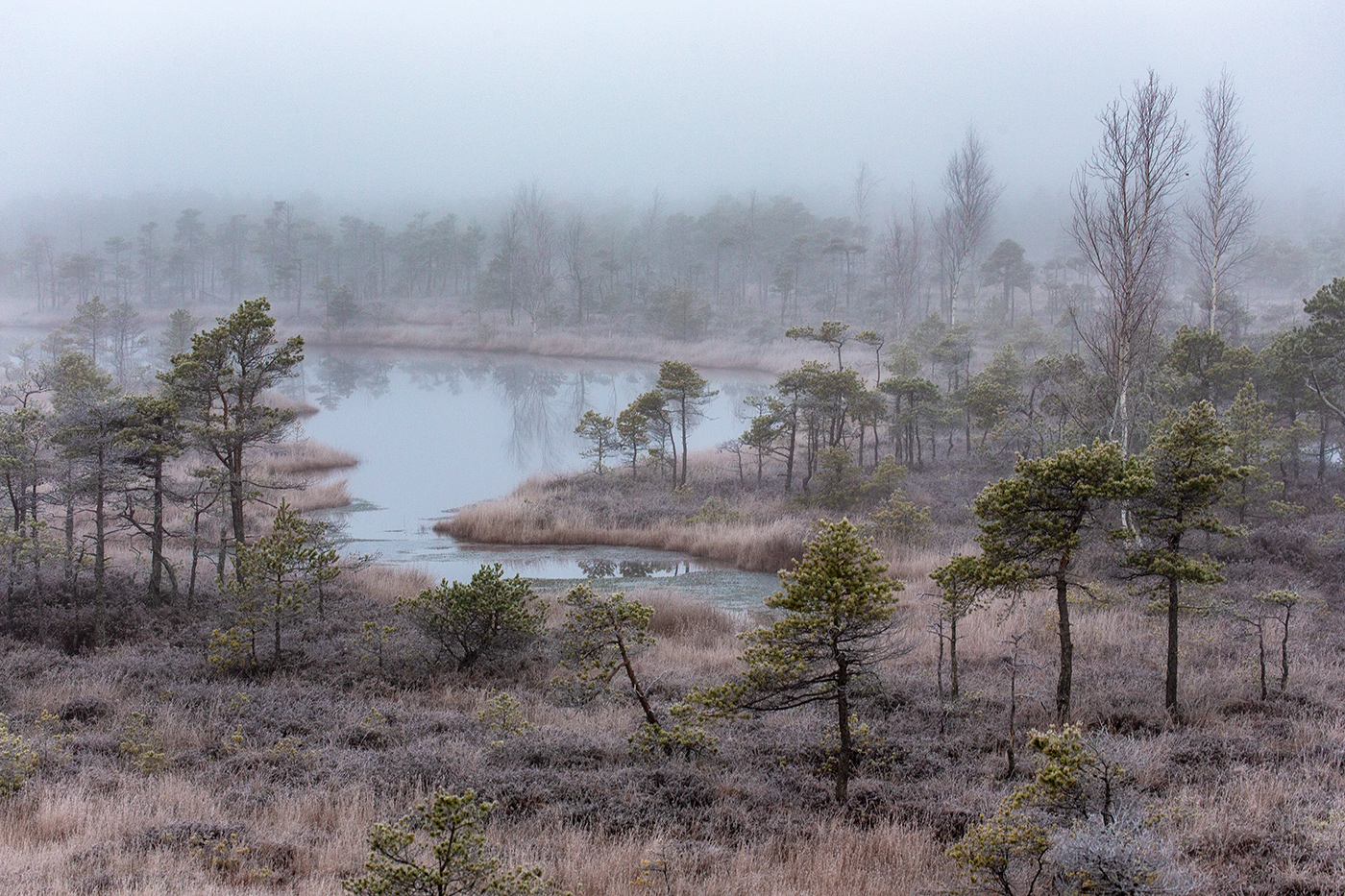 Борьба за жизнь