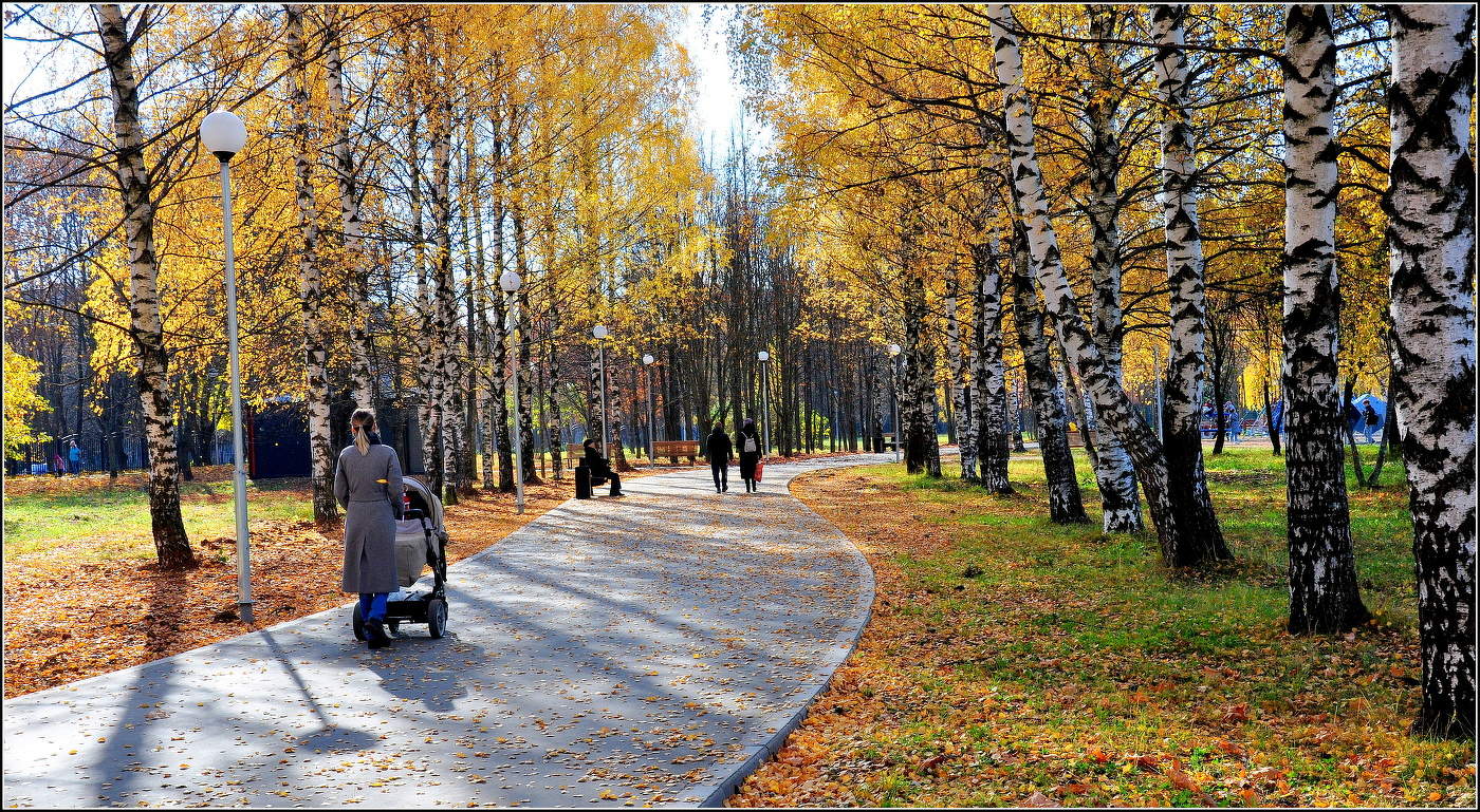 Мамин капитал.