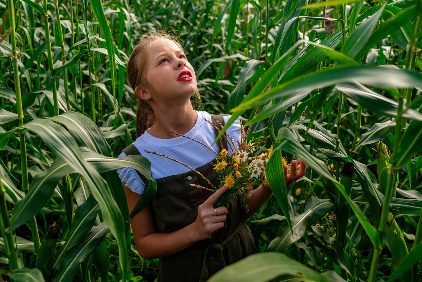 Заплутавшая в зарослях кукурузы