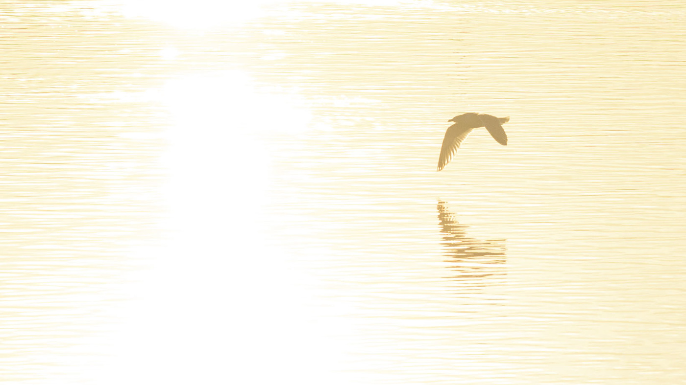 Жизнь вокруг