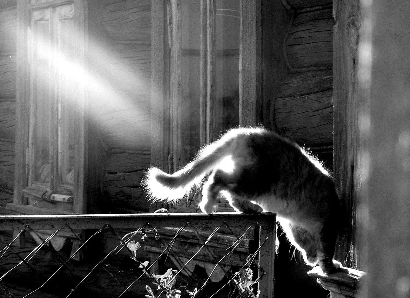 Проскользнула