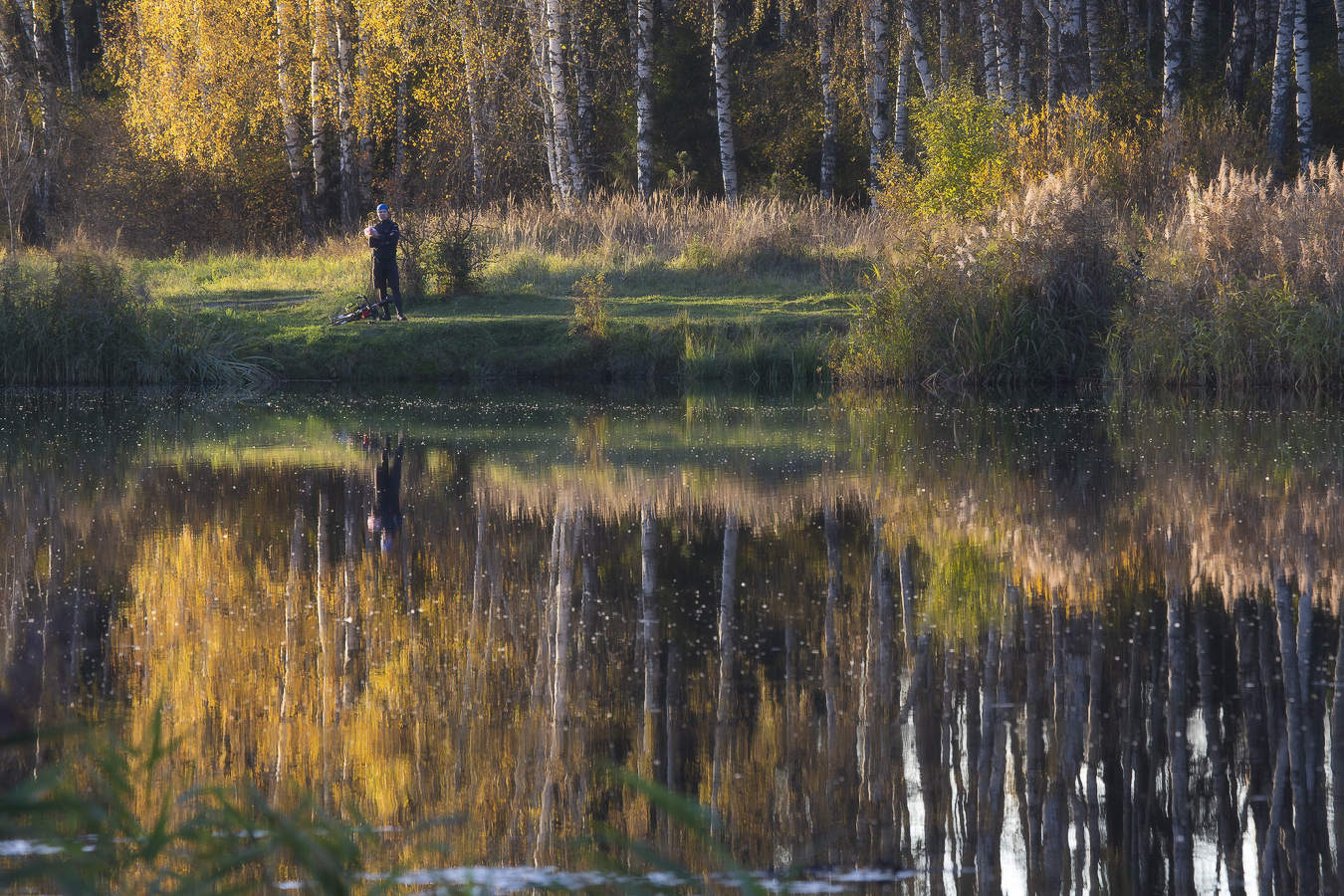 Осенняя зарисовка