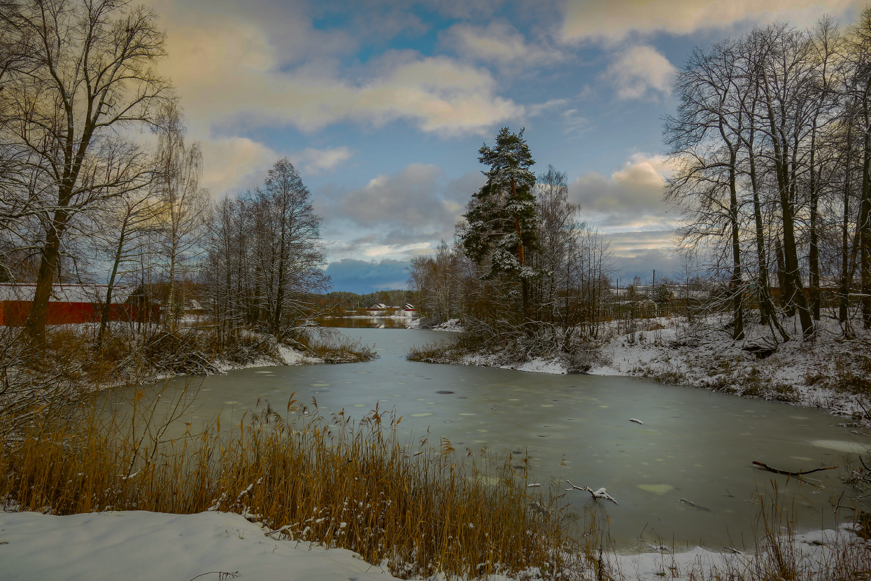 Предзимье. Ноябрь. Пивоварово
