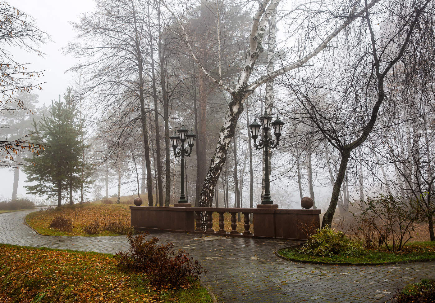 В осеннем парке