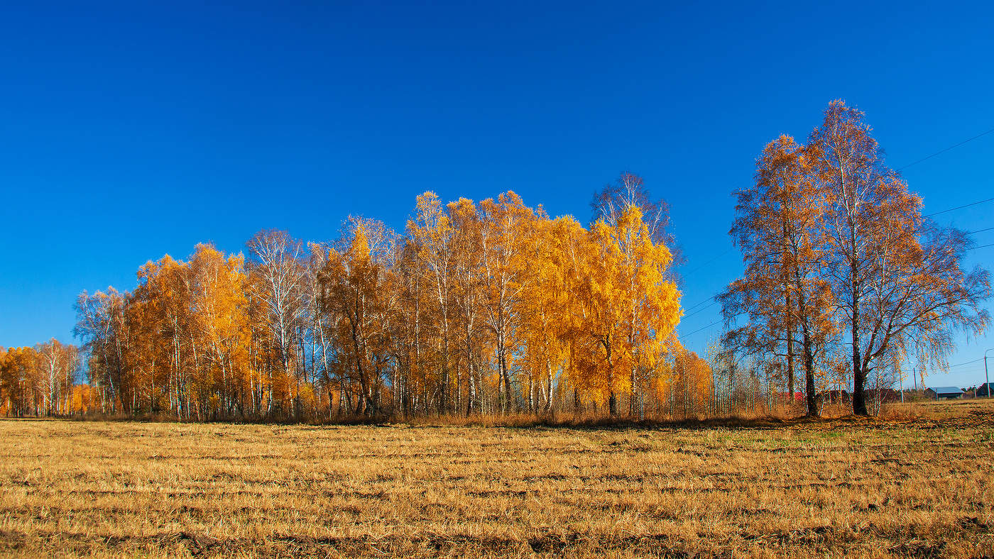 Синий и желтый