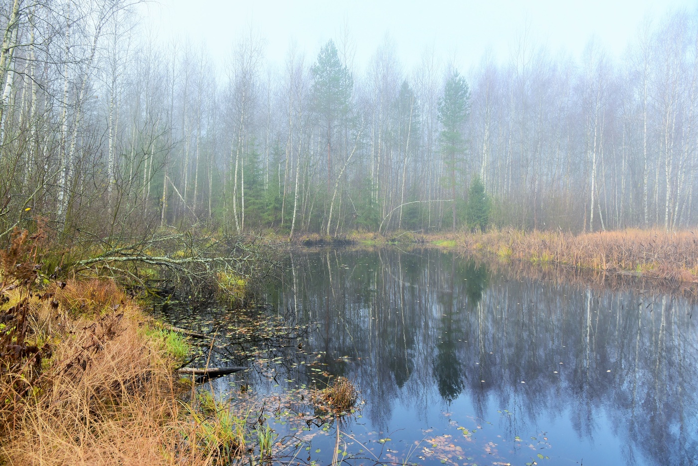 Утро ноября ...