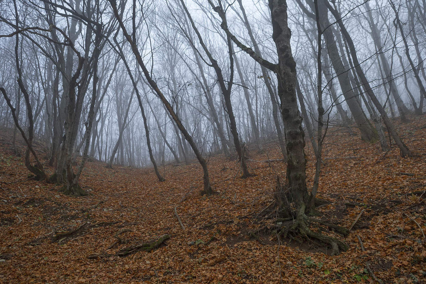 Кого жалеть?..