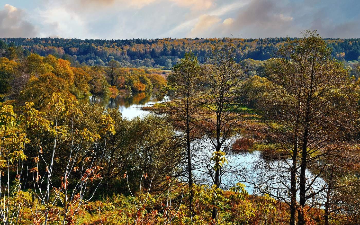 Палитра осени.