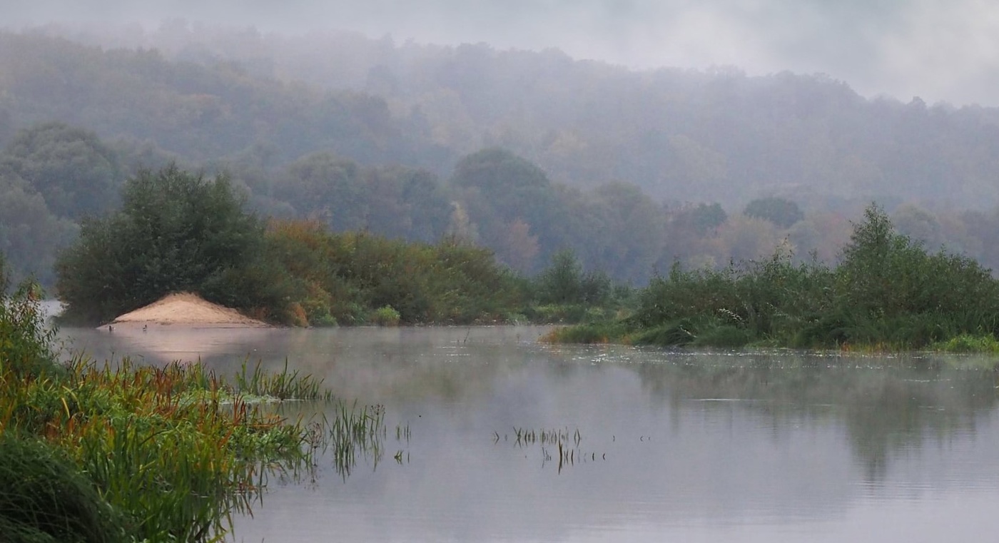 Туманный пейзаж.