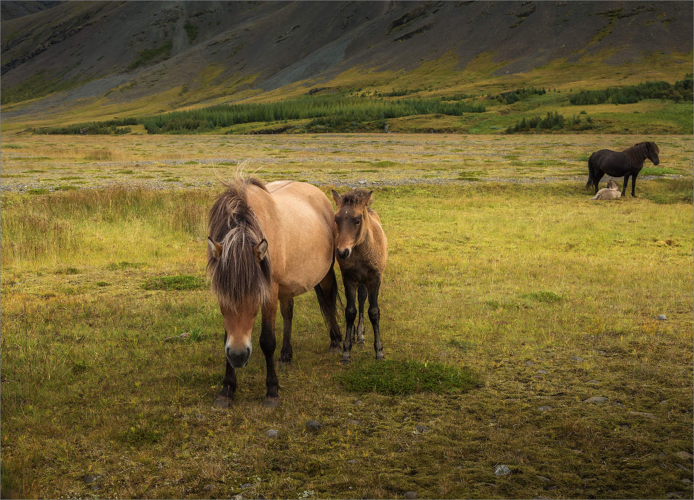 Рожденные на свободе (7)