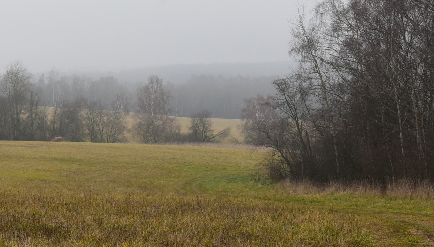 "Ноябрь рисует свой автопортрет ..."