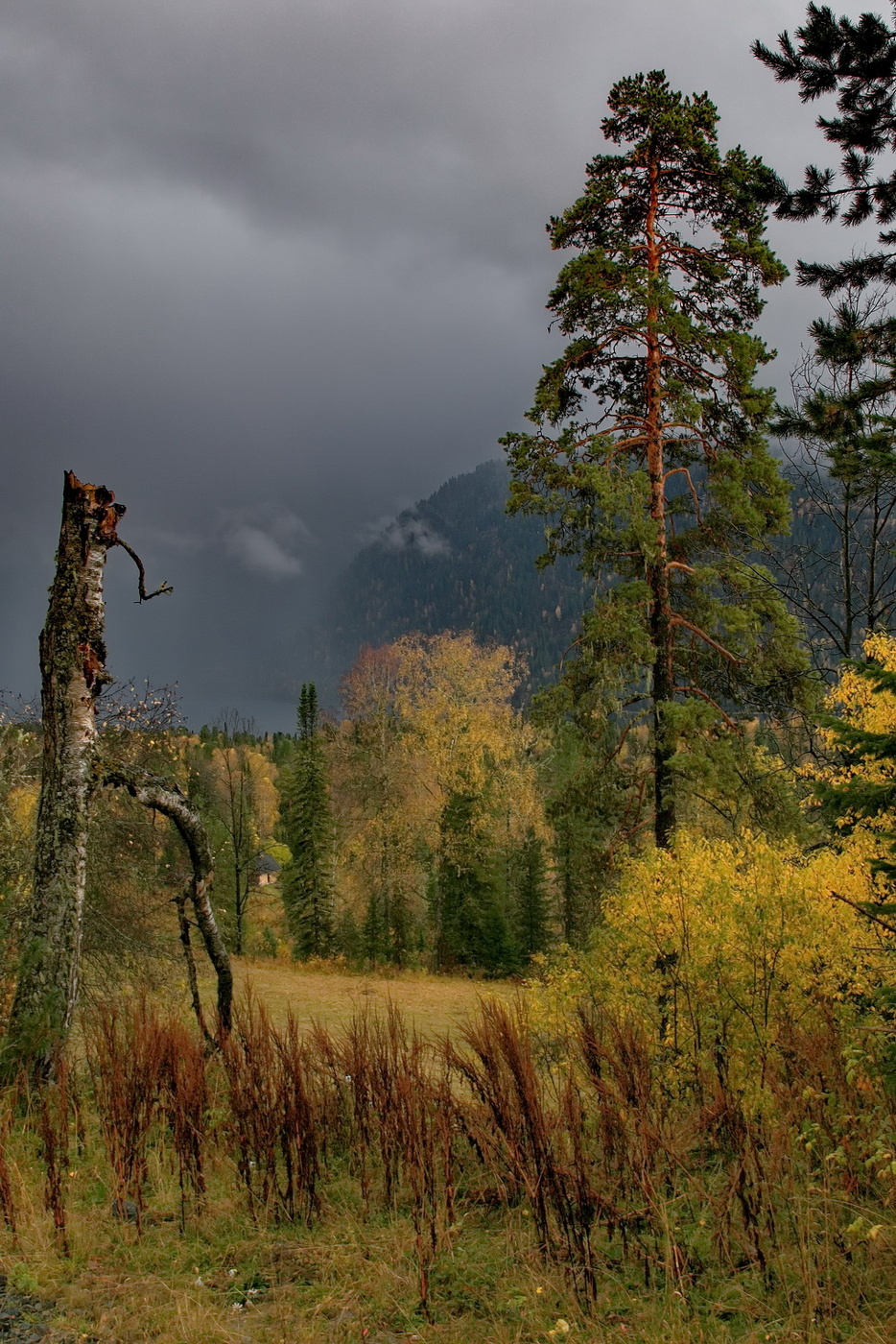 Осенний этюд.