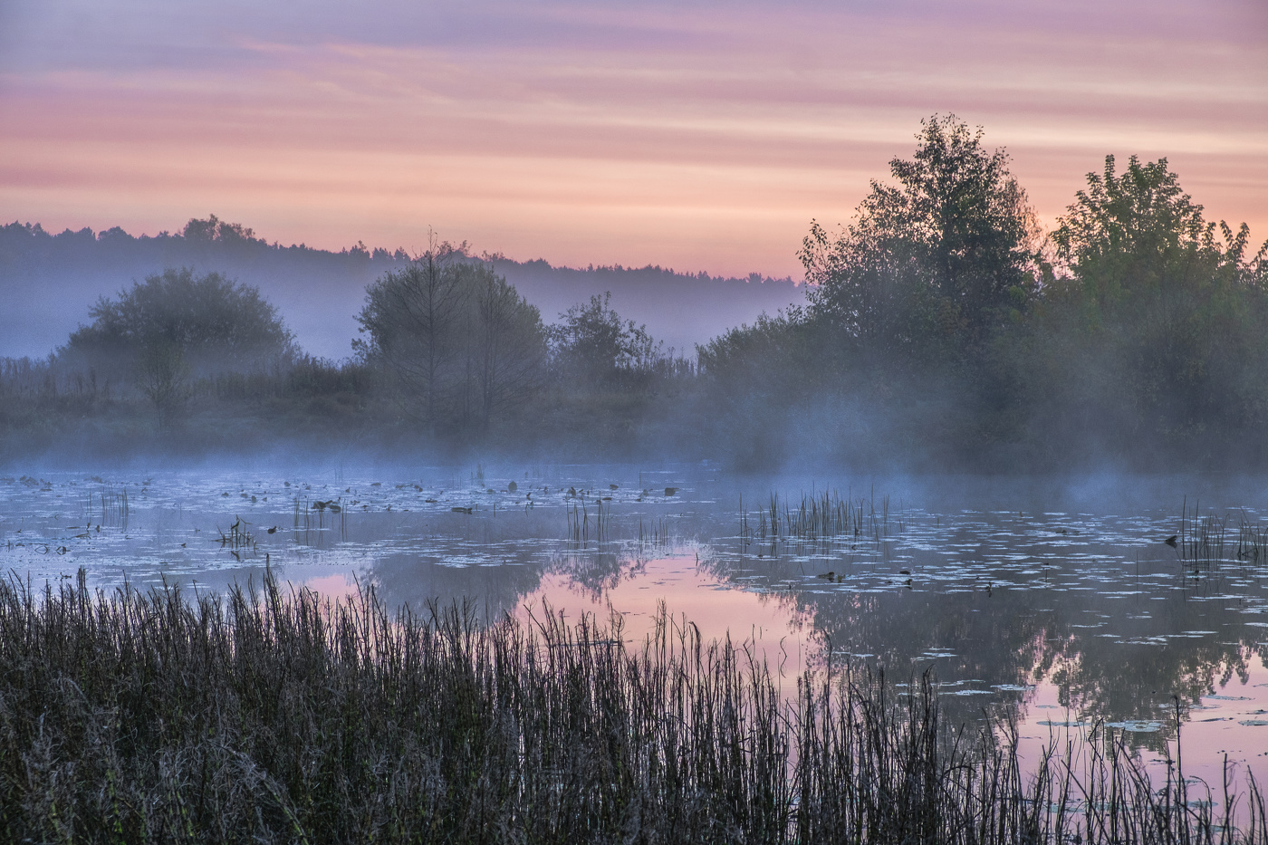 Перед восходом.