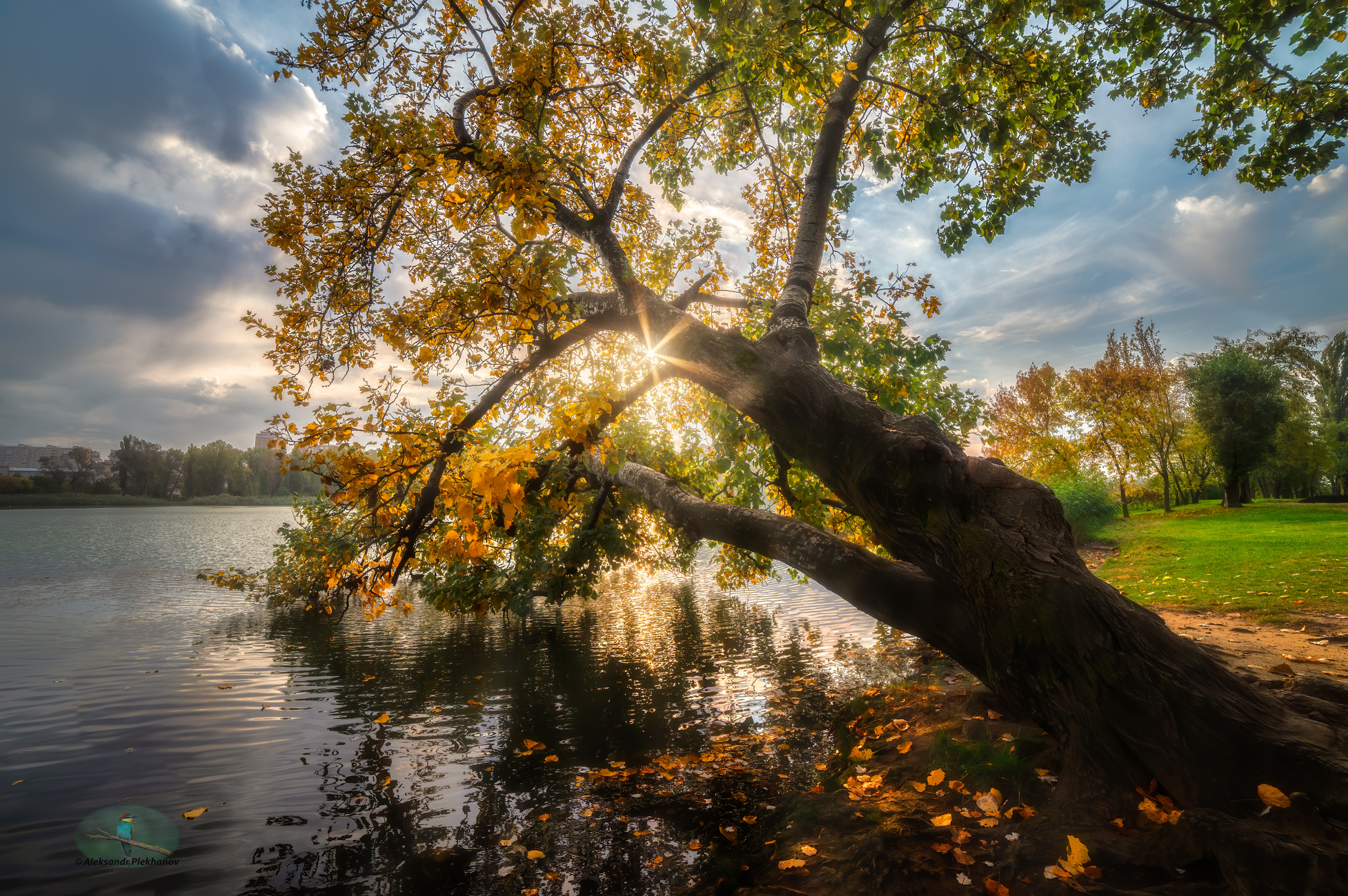 Горят осенние листья