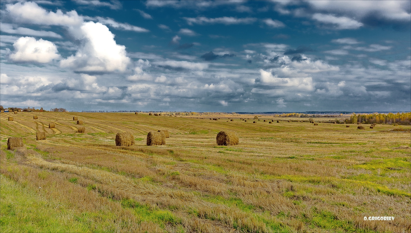 Цвет спелой Осени.