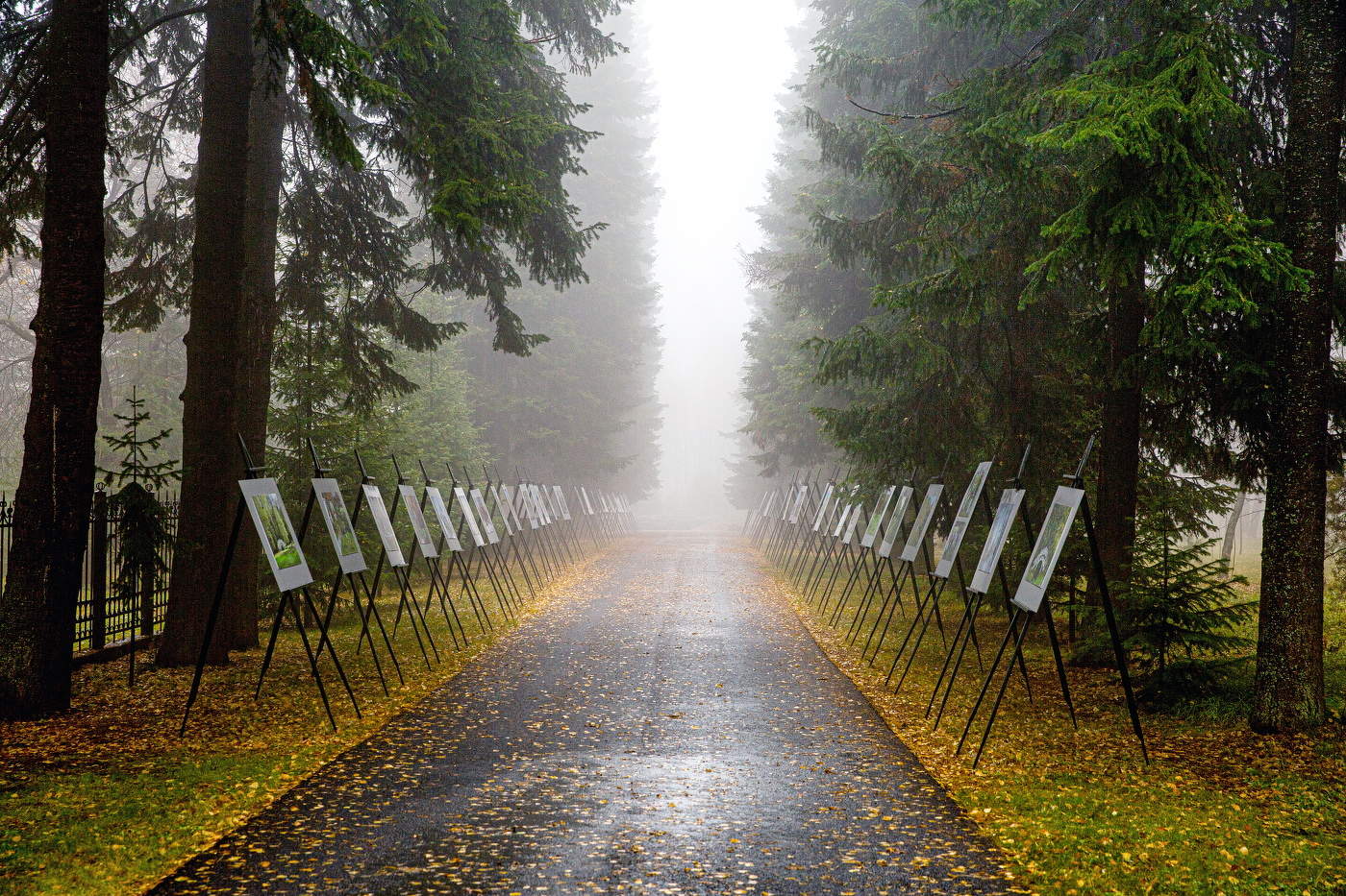 В осеннем лесу