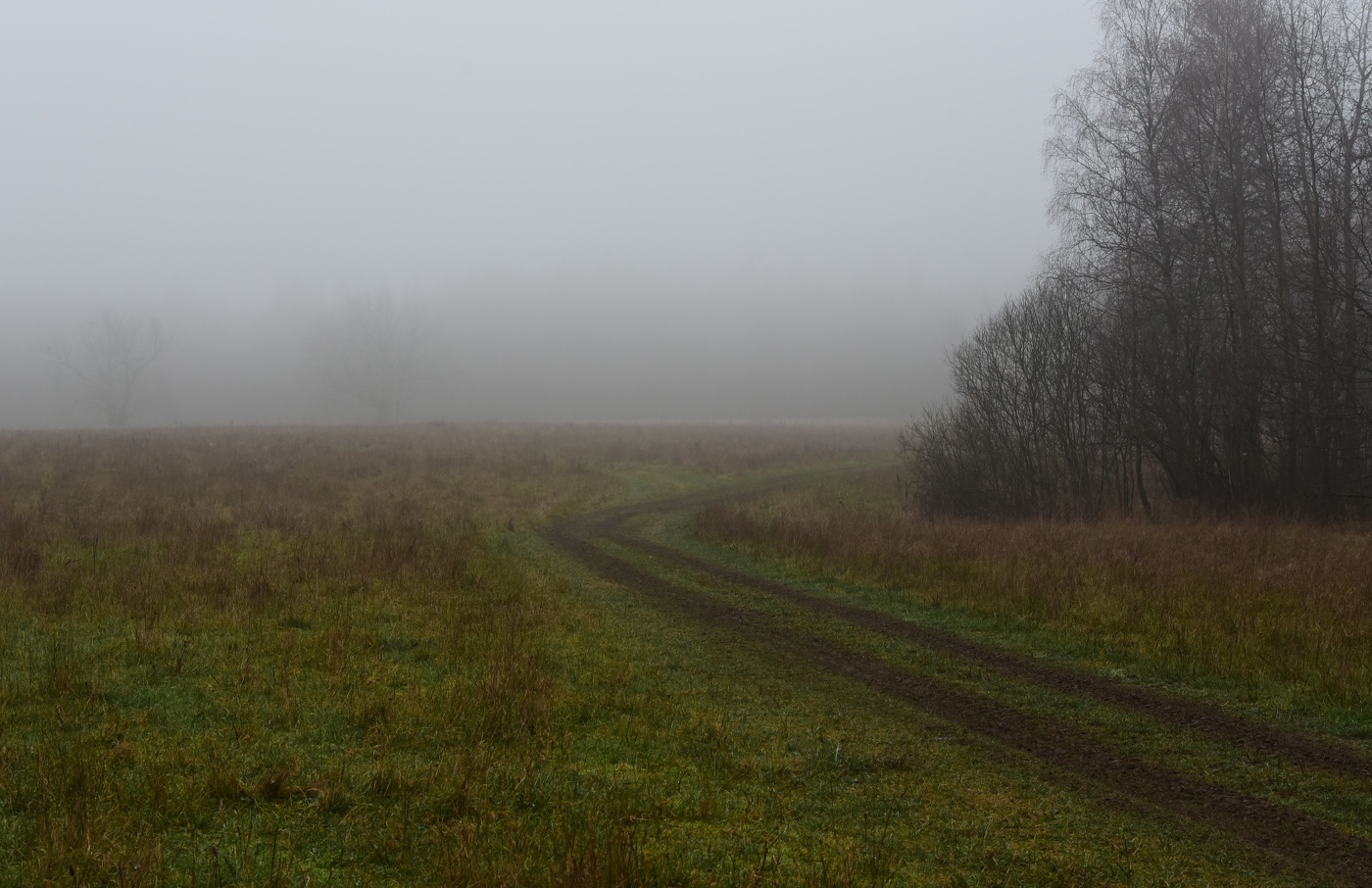 "Подчас природа - серое пятно ..."