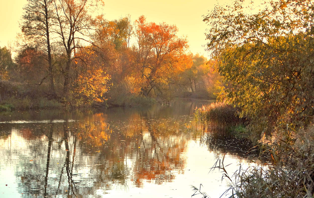 Осень заканчивается на позитиве